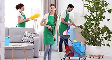 Spring Cleaning